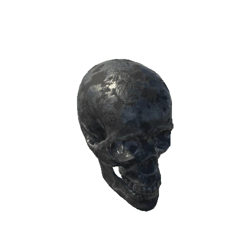 base_mesh_skull 3